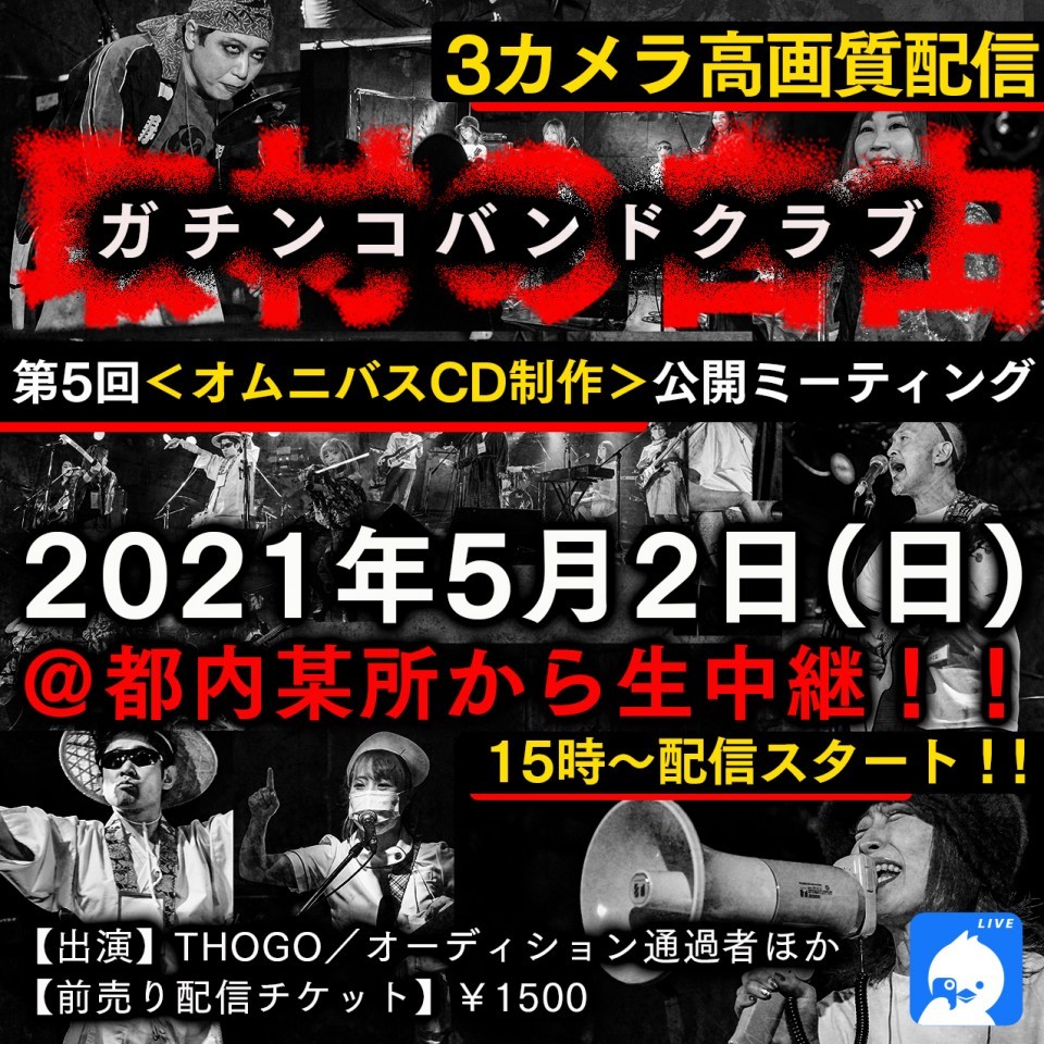 トーゴーフェス運営事務局の活動報告 本日高画質3カメラツイキャスプレミア生配信 Muevo ミュエボ